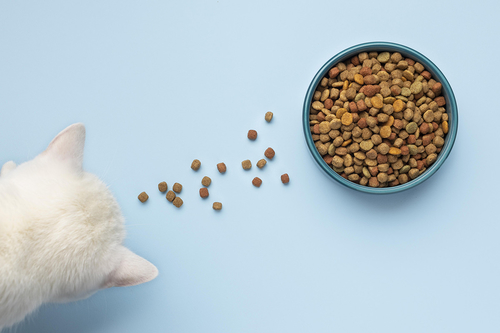 Neueste Unternehmensnachrichten über Der Trend zu rohem Futter für Haustiere: Ein Gesundheitsrisiko für Haustiere und ihre Besitzer