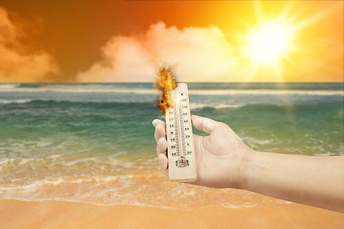 Jüngste Firmenblogs über Beat the Heat: Staying Safe When Temperatures Soar