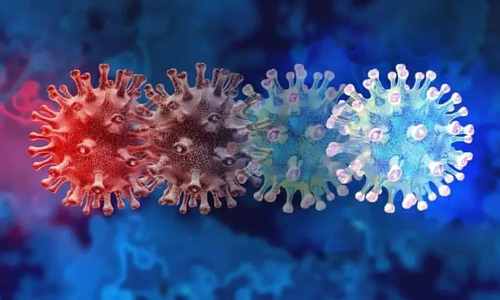 Latest company news about Anmerkung über die Entdeckung von neuen verschiedenen Belastungen Coronavirus durch ALLTEST BIOTECH
