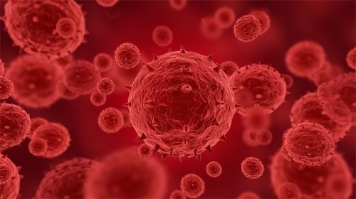 Latest company news about Mehr als 100 bestätigt oder vermutete Fälle vom monkeypox sind in 12 Ländern, einschließlich die US berichtet worden