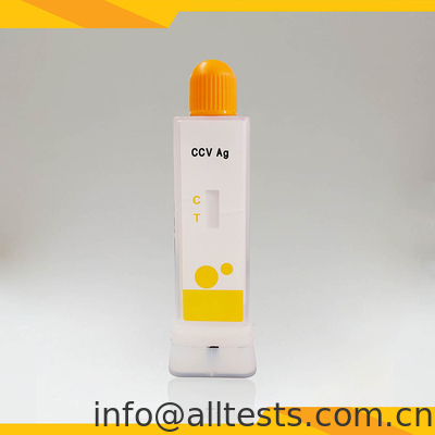 Good price Rapid Canine Coronavirus (CCV Ag) in Kot / Erbrechen Diagnostik-Test-Kit mit Tasse Online
