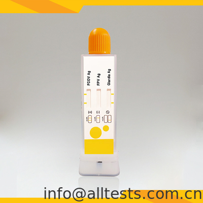 Good price FCoV FPV Giardia Lamblia Antigen Combo Schnelltestkits Kot Veterinärdiagnostikbecher Online