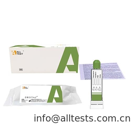 Good price Calprotectin/Transferrin/FOB/Hb-Hp Kombinationsschnelltest und Infektionskrankheitstest für entzündliche Darmerkrankungen Online