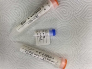 Medical Anti - Alpha HCG Hybridoma Monoclonal Antibody For IVD Research