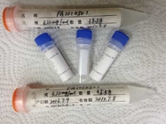 Anti - HBsAg Mouse Monoclonal Antibodies Mab High Sensitivity