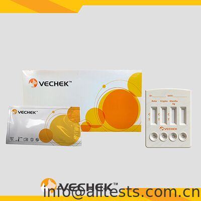 Ein guter Preis. Rotavirus Cryptosporidia Giardia Lamblia Antigen Kombi-Schnelltestkassette für Stuhl mit 10 Minuten Lesezeit Hohe Genauigkeit Online