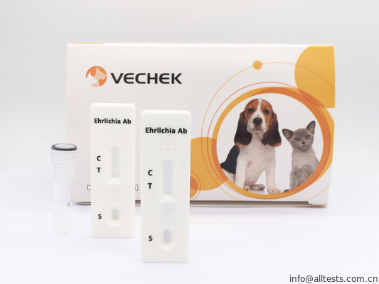 Good price Ehrlichia-Canis-Antikörper-schnelle Test-Kassette, schnelle Blutprobe bedienungsfreundlich Online