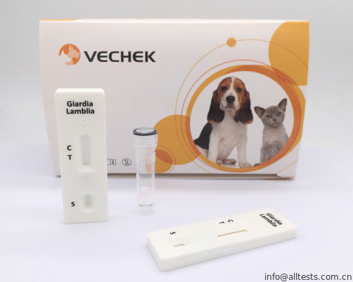 Good price Genaue Giardia-Antigen-Kassetten-schnelle Test-Ausrüstungen basiert auf Sandwich-Format Online