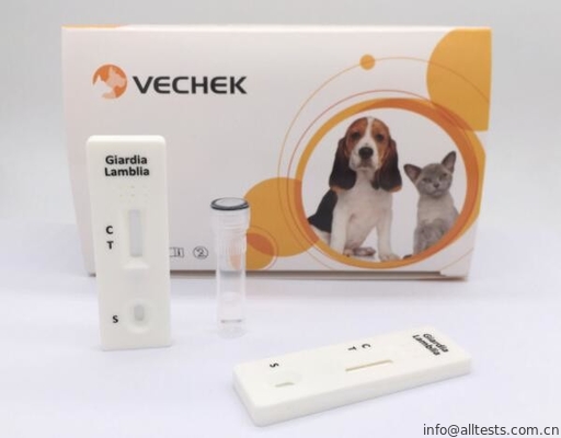 Good price Schnelle Diagnoseausrüstungs-Kassette bequemer Hunde- Giardia Lamblia einfach und schnell Online