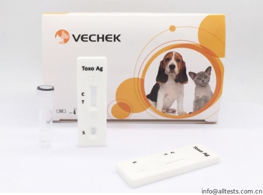 Good price Ein Schritt-Hunde- schneller Proben-Test-Toxoplasma Gondii AG Test-langes Leben Online
