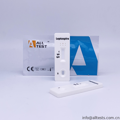 Good price Schnelle Test-Kassette des Leptospira-IgG/IgM (Vollblut/Serum/Plasma) mit CER Online