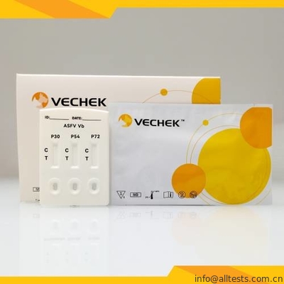 Good price Test-Kassetten-Serum-Plasma ASFV-Antikörper-P30/P54/P72 kombiniertes schnelles Online