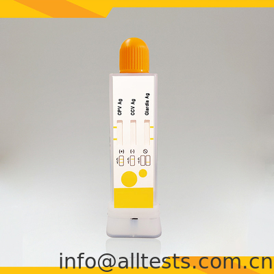 Good price Rapid Diagnostic Test Kit für CPV CCV Giardia Lamblia im Kot Online