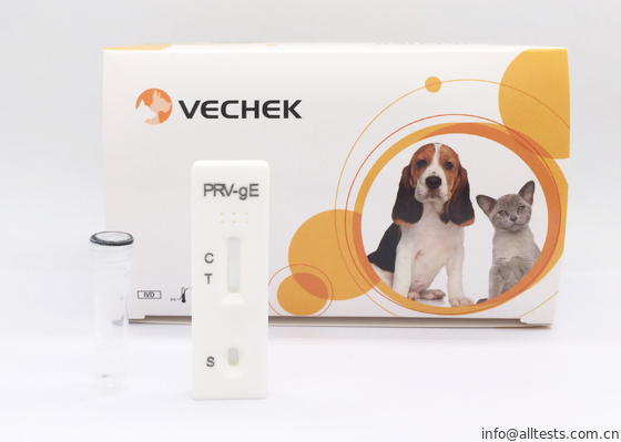 Good price Rv - GE-Antikörper-schnelle Test-Ausrüstungen, weiße Ausgangsgeschlechtskrankheits-Ausrüstung mit qualitativem Online