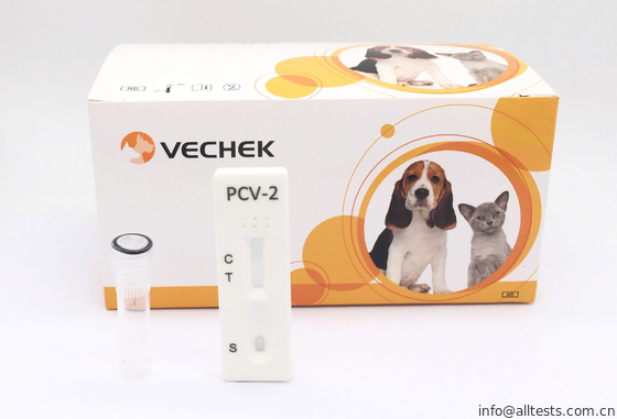 Good price Eine einzelne Art Orcine Circovirus - 2 Antikörper-schnelles Test-Kassetten-Ausgangsprüfungsausrüstungen Online